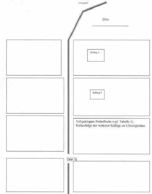 forst_niederwald_plan.jpg (168625 Byte)