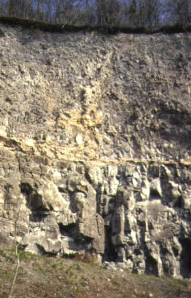 geologie steinbruch i 6.jpg (393704 Byte)